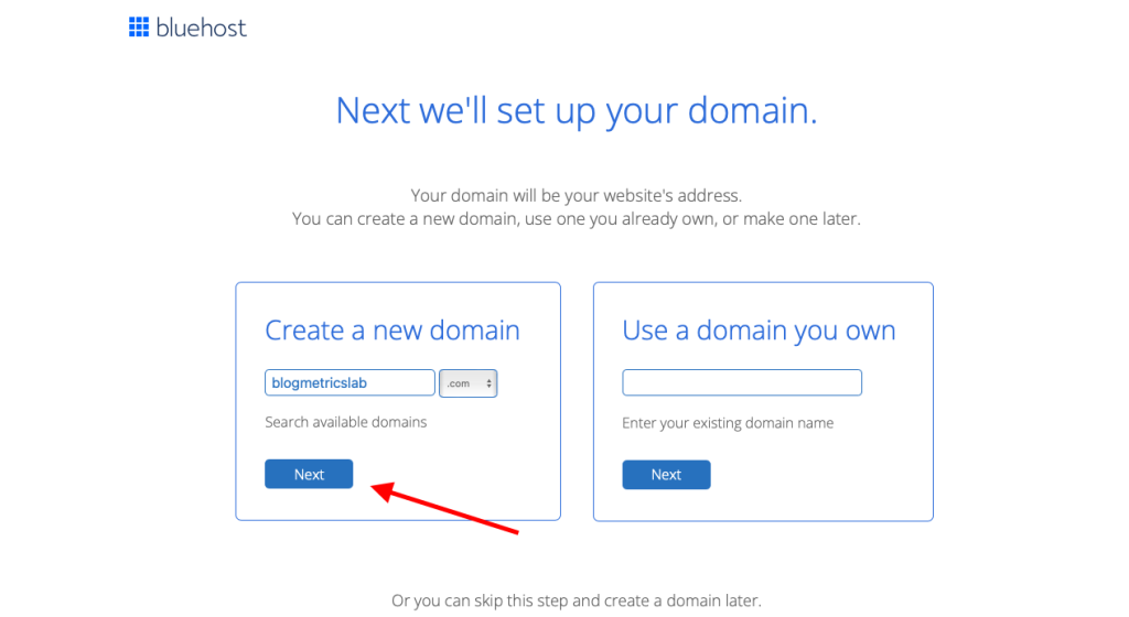 Bluehost domain