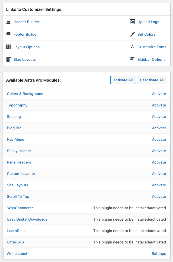 Astra Theme Option panel